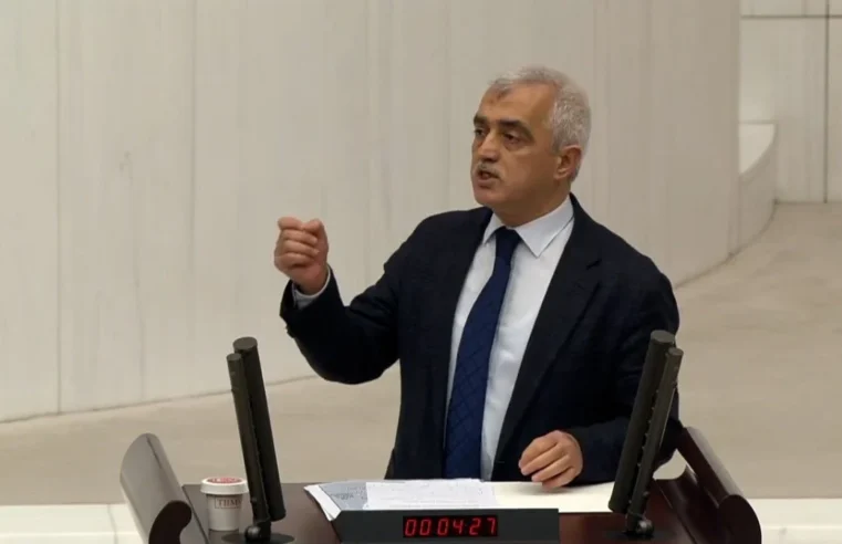 DEM Partili Ömer Faruk Gergerlioğlu: Türklerin Kürtçe öğrenmesi lazım