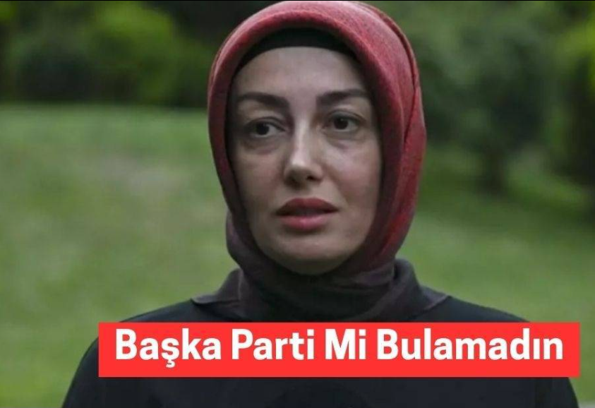 Siyasete Giriyor