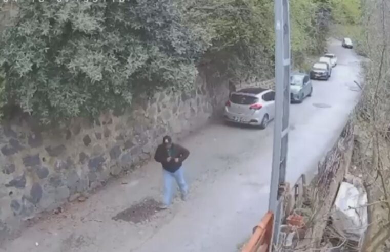 Silahlı saldırının arkasından organize suç örgütü çıktı