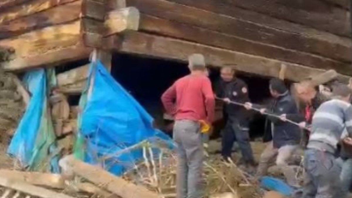 Kastamonu’da ağıl çöktü: Sağım yapan kadın ve onlarca hayvan göçük altında can verdi