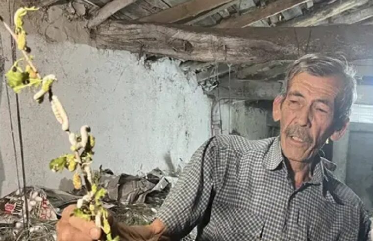 6 yıldır evinin altında üretiyor: 40 günde 216 bin TL kazanıyor
