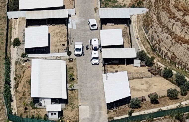 Aydın’da barınak değil ölüm kampı iddiası: Binlerce hayvan nerede?