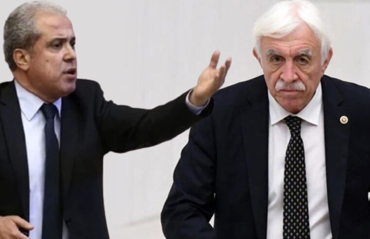 DEM Partili Cengiz Çandar’ın ‘dağlar sizi bekliyor’ sözü ortalığı karıştırdı
