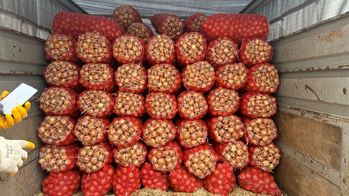 Çiftçinin umutlarını çöpe döküyorlar